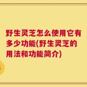 野生灵芝怎么使用它有多少功能(野生灵芝的用法和功能简介)