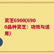 灵芝6900(6900品种灵芝：功效与适用)
