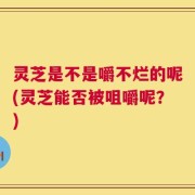 灵芝是不是嚼不烂的呢(灵芝能否被咀嚼呢？)