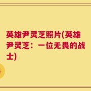 英雄尹灵芝照片(英雄尹灵芝：一位无畏的战士)