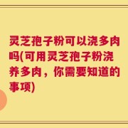 灵芝孢子粉可以浇多肉吗(可用灵芝孢子粉浇养多肉，你需要知道的事项)