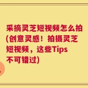 采摘灵芝短视频怎么拍(创意灵感！拍摄灵芝短视频，这些Tips不可错过)