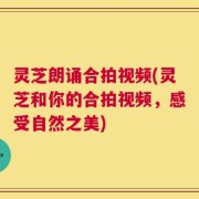 灵芝朗诵合拍视频(灵芝和你的合拍视频，感受自然之美)