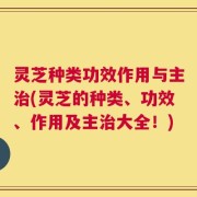 灵芝种类功效作用与主治(灵芝的种类、功效、作用及主治大全！)