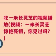 吃一米长灵芝的视频播放(视频：一米长灵芝惊艳亮相，你见过吗？)