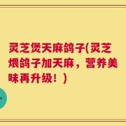 灵芝煲天麻鸽子(灵芝煨鸽子加天麻，营养美味再升级！)