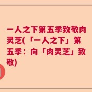一人之下第五季致敬肉灵芝(「一人之下」第五季：向「肉灵芝」致敬)