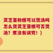 灵芝茎和根可以煲汤吗怎么煲灵芝茎根可否煲汤？煮法有讲究！)
