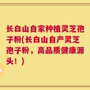 长白山自家种植灵芝孢子粉(长白山自产灵芝孢子粉，高品质健康源头！)