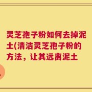 灵芝孢子粉如何去掉泥土(清洁灵芝孢子粉的方法，让其远离泥土