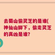 去蜀山偷灵芝的是谁(神仙山脚下，偷走灵芝的真凶是谁？