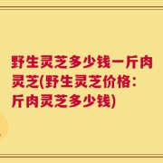 野生灵芝多少钱一斤肉灵芝(野生灵芝价格：斤肉灵芝多少钱)