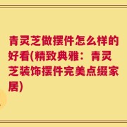 青灵芝做摆件怎么样的好看(精致典雅：青灵芝装饰摆件完美点缀家居)