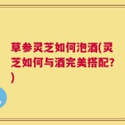 草参灵芝如何泡酒(灵芝如何与酒完美搭配？)