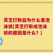灵芝打粉后为什么是泡沫状(灵芝打粉成泡沫状的原因是什么？)