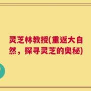 灵芝林教授(重返大自然，探寻灵芝的奥秘)
