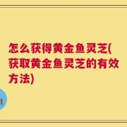 怎么获得黄金鱼灵芝(获取黄金鱼灵芝的有效方法)