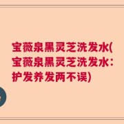 宝薇泉黑灵芝洗发水(宝薇泉黑灵芝洗发水：护发养发两不误)
