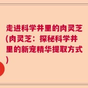 走进科学井里的肉灵芝(肉灵芝：探秘科学井里的新宠精华提取方式)