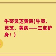 牛蒡灵芝黄芪(牛蒡、灵芝、黄芪——三宝护身！)