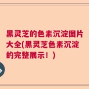 黑灵芝的色素沉淀图片大全(黑灵芝色素沉淀的完整展示!)