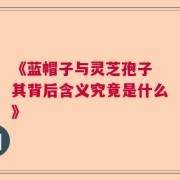 《蓝帽子与灵芝孢子 其背后含义究竟是什么》