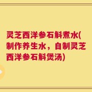 灵芝西洋参石斛煮水(制作养生水，自制灵芝西洋参石斛煲汤)