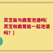 灵芝能与鹿茸泡酒吗(灵芝和鹿茸能一起泡酒吗？)
