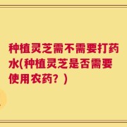 种植灵芝需不需要打药水(种植灵芝是否需要使用农药？)