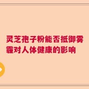 灵芝孢子粉能否抵御雾霾对人体健康的影响