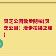灵芝公园散步随拍(灵芝公园：漫步拍摄之旅)