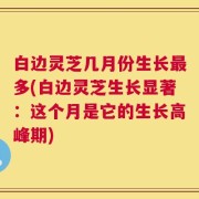 白边灵芝几月份生长最多(白边灵芝生长显著：这个月是它的生长高峰期)