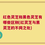 红色灵芝和黑色灵芝有哪些区别(红灵芝与黑灵芝的不同之处)