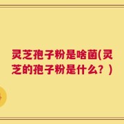 灵芝孢子粉是啥菌(灵芝的孢子粉是什么？)