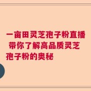 一亩田灵芝孢子粉直播 带你了解高品质灵芝孢子粉的奥秘