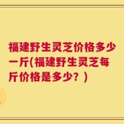 福建野生灵芝价格多少一斤(福建野生灵芝每斤价格是多少？)