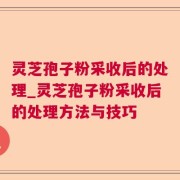 灵芝孢子粉采收后的处理_灵芝孢子粉采收后的处理方法与技巧