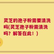灵芝的孢子粉需要清洗吗(灵芝孢子粉需清洗吗？解答在此！)