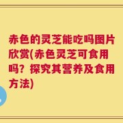 赤色的灵芝能吃吗图片欣赏(赤色灵芝可食用吗？探究其营养及食用方法)