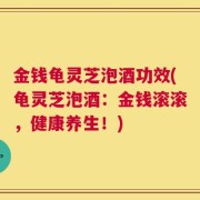 金钱龟灵芝泡酒功效(龟灵芝泡酒：金钱滚滚，健康养生！)