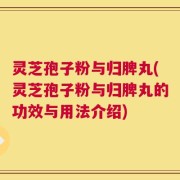 灵芝孢子粉与归脾丸(灵芝孢子粉与归脾丸的功效与用法介绍)