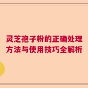 灵芝孢子粉的正确处理方法与使用技巧全解析
