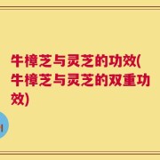 牛樟芝与灵芝的功效(牛樟芝与灵芝的双重功效)