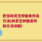 野生树灵芝种植条件及方法(树灵芝种植条件和方法详解)