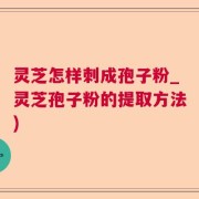 灵芝怎样刺成孢子粉_灵芝孢子粉的提取方法)