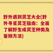 野外遇到灵芝大全(野外寻觅灵芝指南：全面了解野生成灵芝种类及鉴别方法)