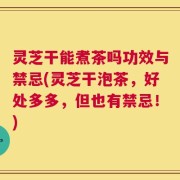 灵芝干能煮茶吗功效与禁忌(灵芝干泡茶，好处多多，但也有禁忌！)