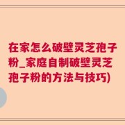 在家怎么破壁灵芝孢子粉_家庭自制破壁灵芝孢子粉的方法与技巧)
