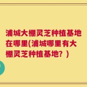 浦城大棚灵芝种植基地在哪里(浦城哪里有大棚灵芝种植基地？)