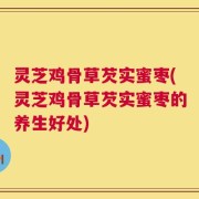 灵芝鸡骨草芡实蜜枣(灵芝鸡骨草芡实蜜枣的养生好处)